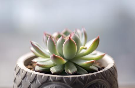 վƻش羳Ĳ 永ʽ4.4ڡ